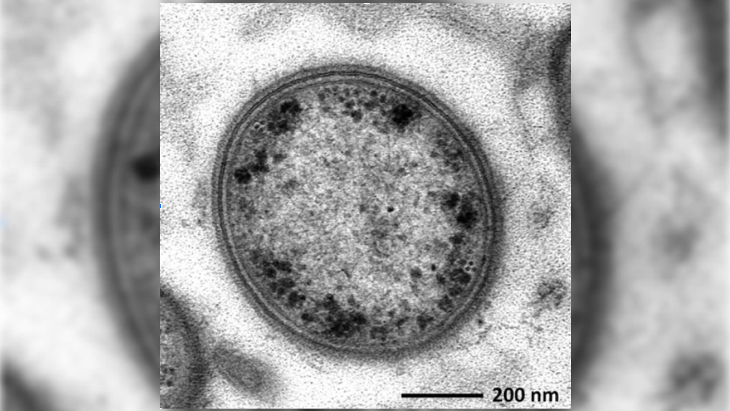 Homem com óculos de realidade virtual.