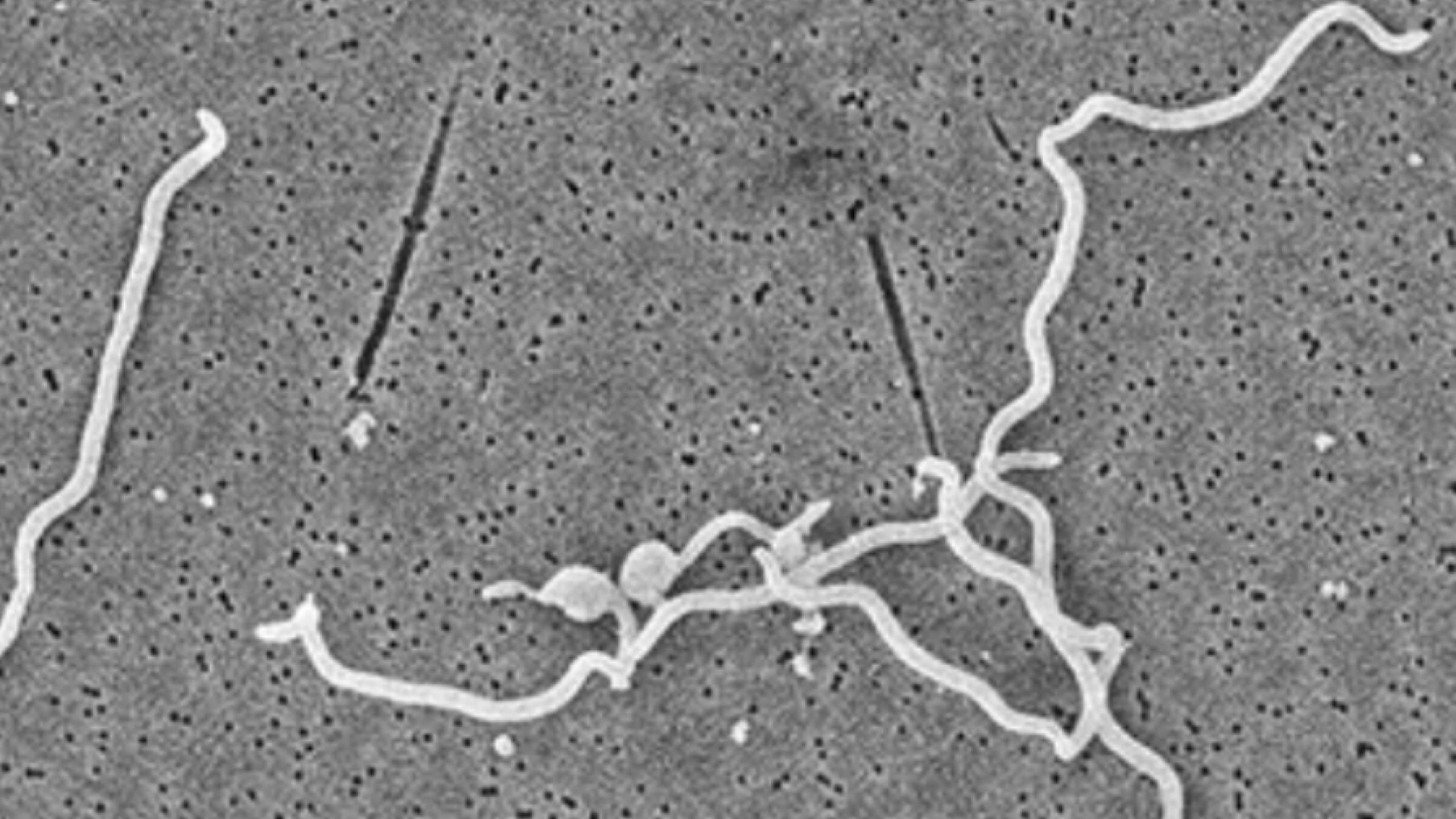 Homem com óculos de realidade virtual.