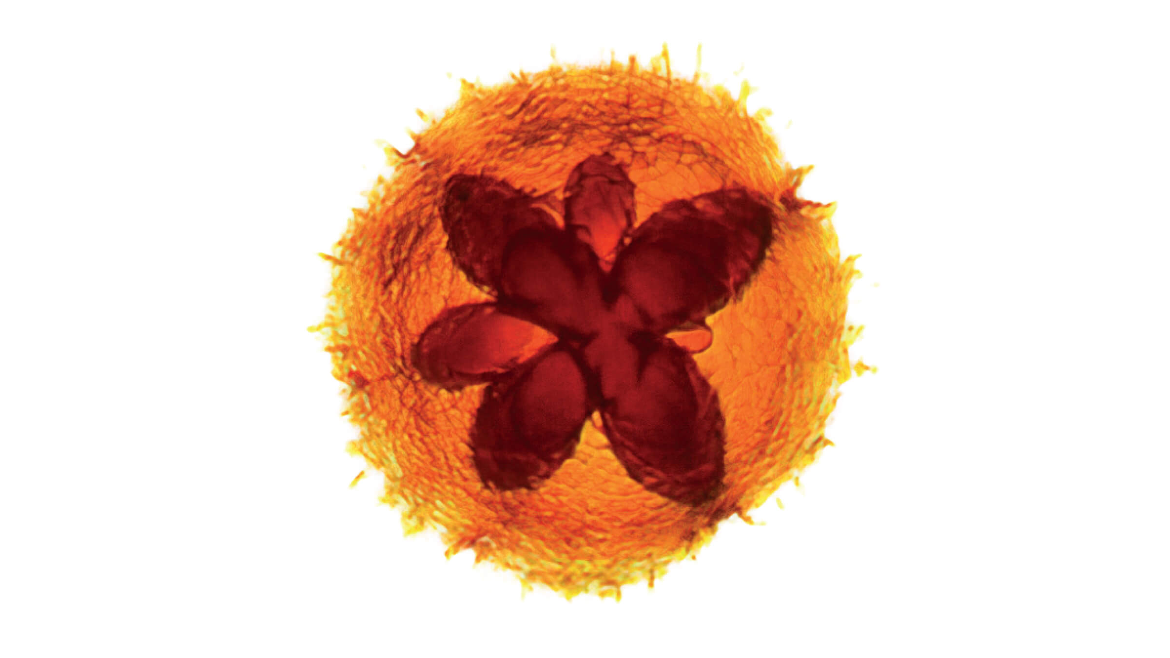 Homem com óculos de realidade virtual.